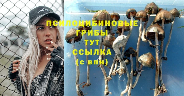 прущие крисы Краснослободск