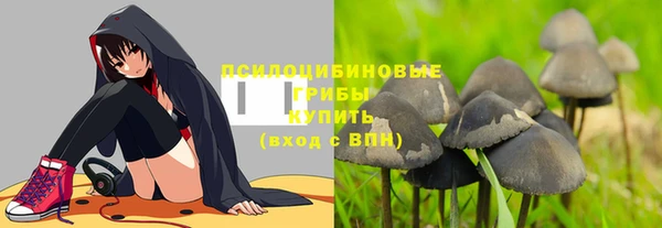 прущие крисы Краснослободск