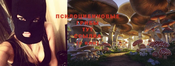 спиды Красноперекопск