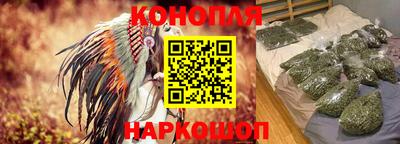 не бодяженный Гатчина