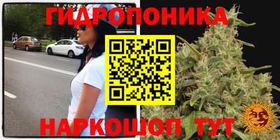 мяу мяу кристалл Гай