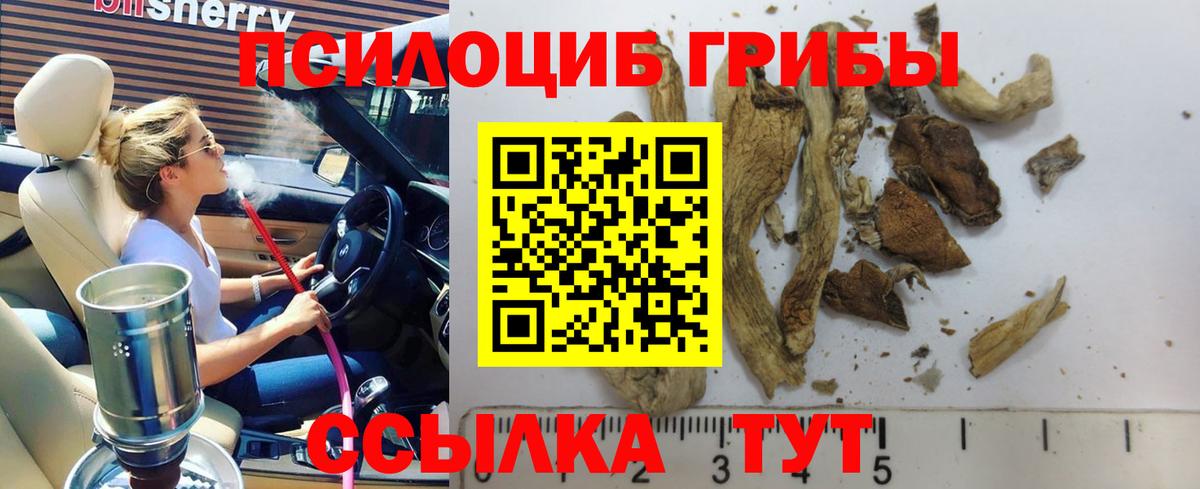 Псилоцибиновые грибы Magic Shrooms Михайловка