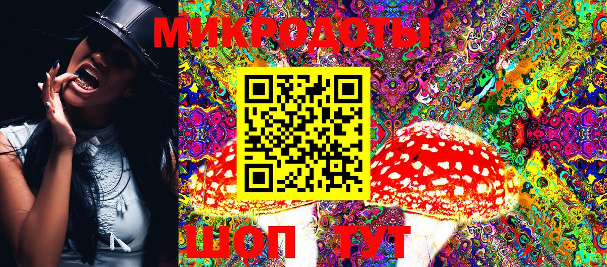 Михайловка  Псилоцибиновые грибы Magic Shrooms  Вход с VPN 